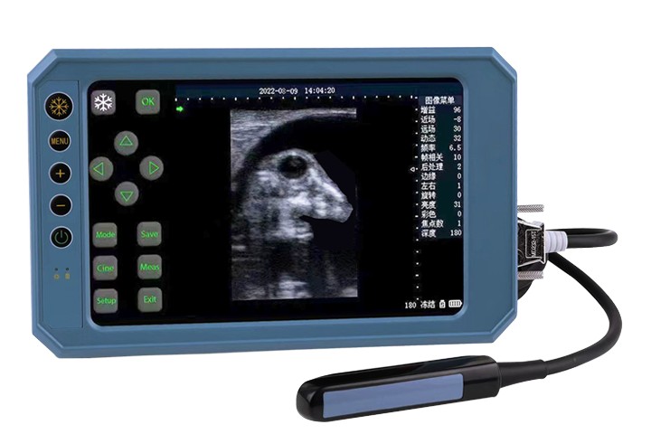 Ручний ультразвуковий сканер BU403T типу B із сенсорним екраном і ректальним лінійним датчиком 6,5 МГц для використання у ветеринарії